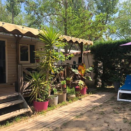 Mobil Home Climatise Camping 4* Le Grau Du Roi Les Jardins De Tivoli 외부 사진